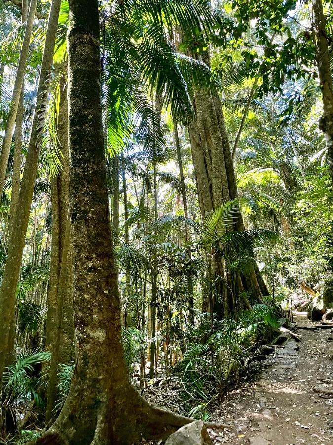 Mountain Studio Escape Mount Tamborine Extérieur photo